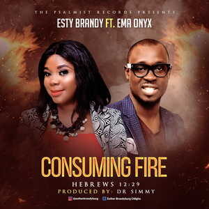 consuming fire mp3 download mdundo
