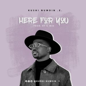 Download Here For You By Kushi Numdin E.