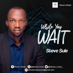 Download While You Wait By Steve Sule