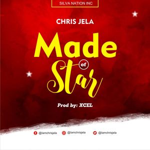 Download Made Of Stars By Chris Jela