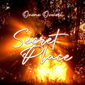 Download Secret Place By Onome Ovwori