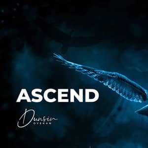 Download and Stream Ascend By Dunsin Oyekan