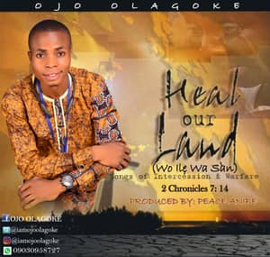 Download Heal our Land By Ojo Olagoke