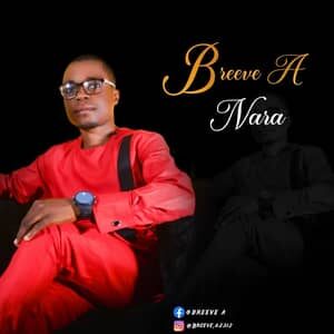 Download Nara By Breve