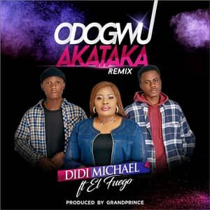 Download Odogwu Akataka Remix By Didi Michael Ft. El Fuego