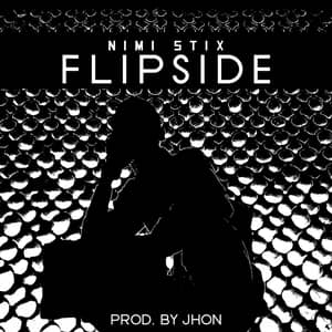 Download Flipside By Nimi Stix