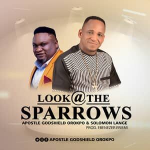 Download Look At The Sparrows By Apostle Godshield Orokpo Ft. Solomon Lange