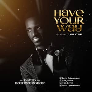 Download Have Your Way By David Oghenerobor