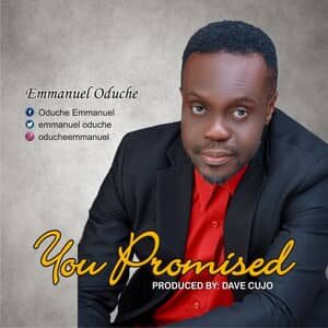 Download You Promised By Emmanuel Oduche