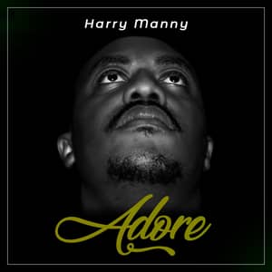 Download and Stream Adore By Harry Manny