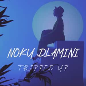Noku Dlamini - Tripped Up