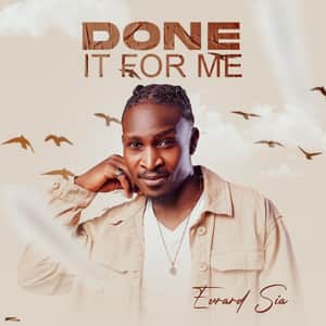 Done It For Me by Evrard SIA